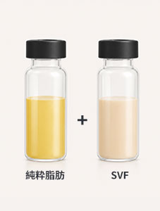 純粋脂肪 ＋ SVF 混合