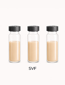 精製されたSVFの準備