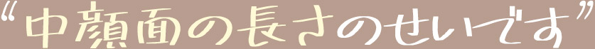 中顔面の長さのせいです！