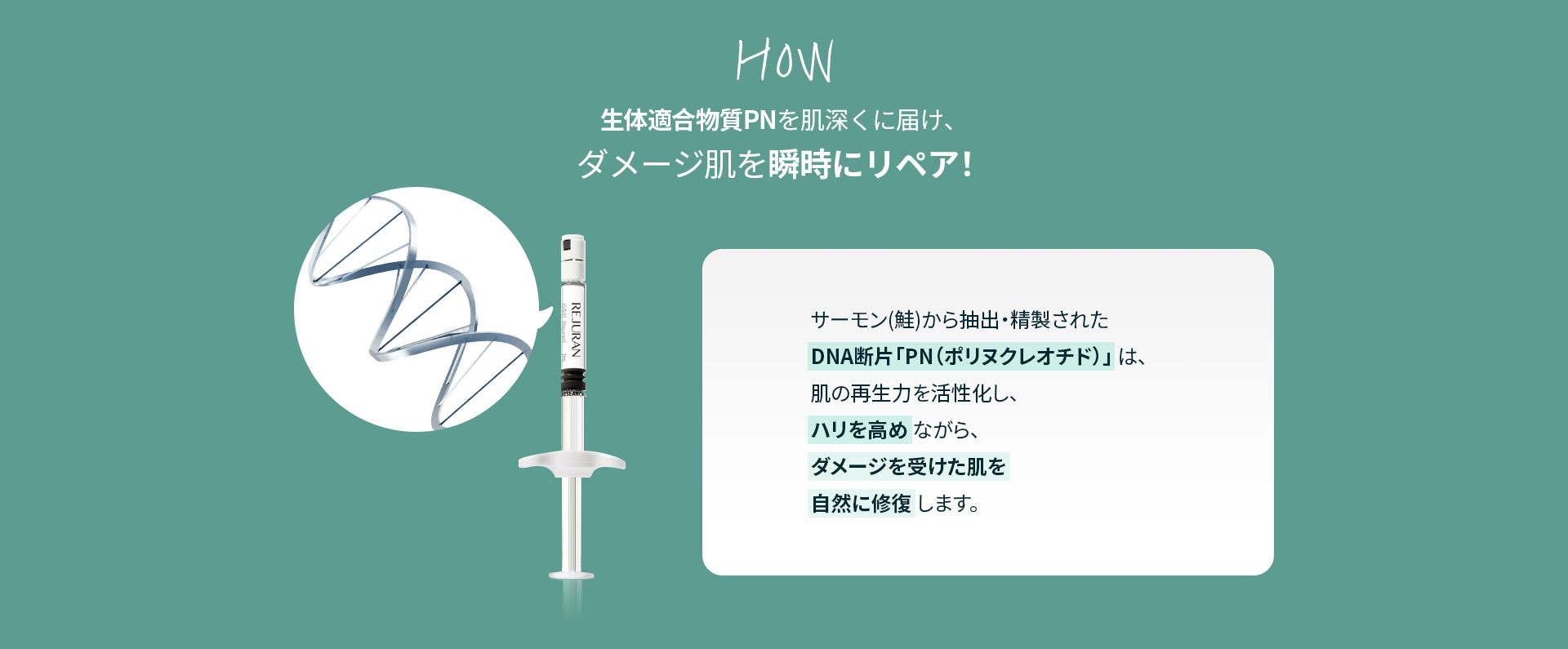 生体適合物質PNを肌深くに届け、ダメージ肌を瞬時にリペア！