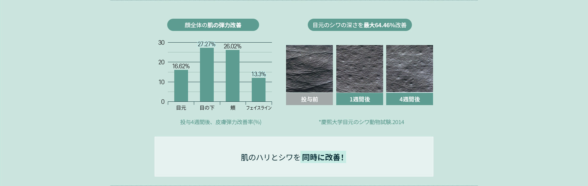 肌の真皮の緻密さと厚さを増加させ肌保護膜を再生！ 肌のハリとシワを同時に改善！