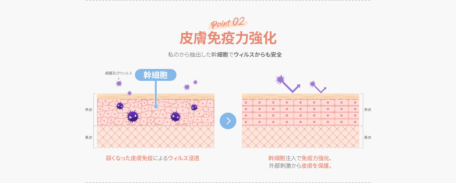 DA幹細胞