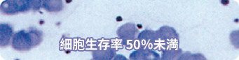 細胞生存率 50％未満