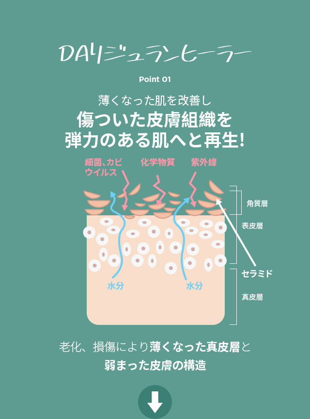 DAリジュランヒーラー point01.薄くなった肌を改善し傷ついた皮膚組織を弾力のある肌へと再生！