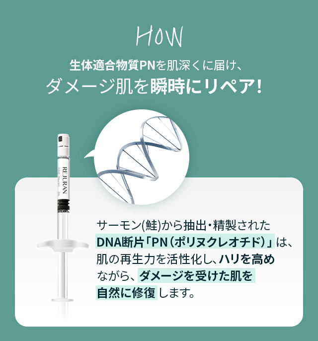 生体適合物質PNを肌深くに届け、ダメージ肌を瞬時にリペア！