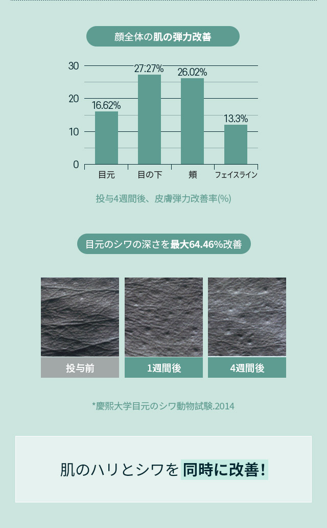 肌の真皮の緻密さと厚さを増加させ肌保護膜を再生！肌のハリとシワを同時に改善！