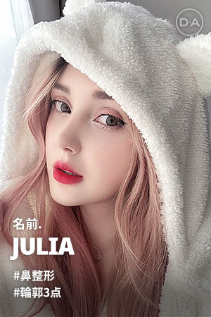 DA モデルストーリー-Julia